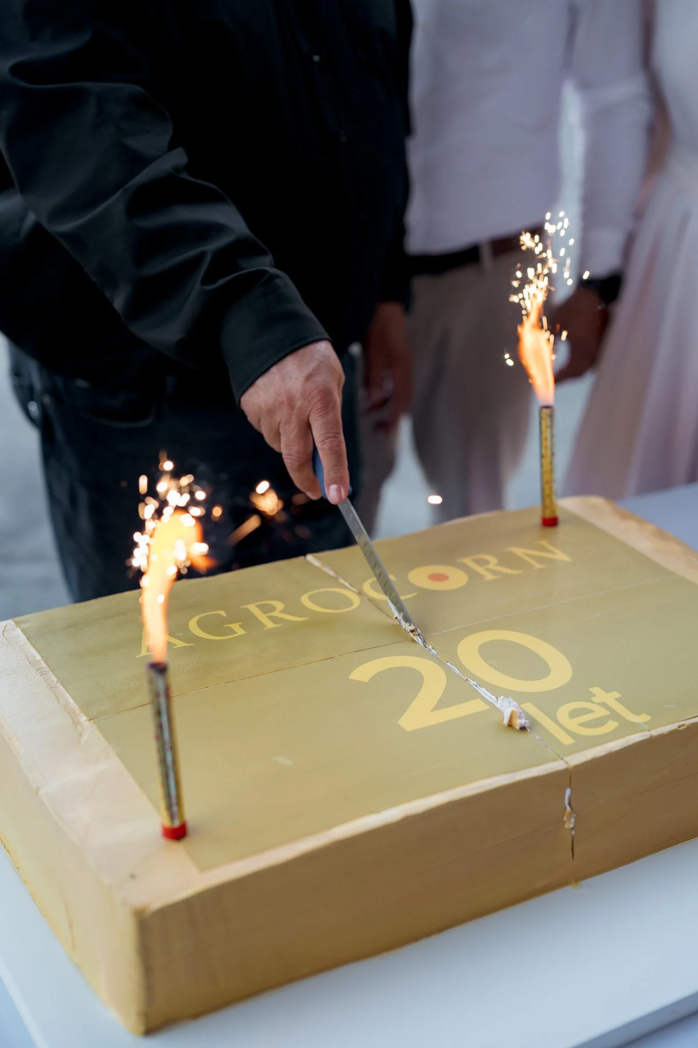 DSC_9280 - 2048px.JPG