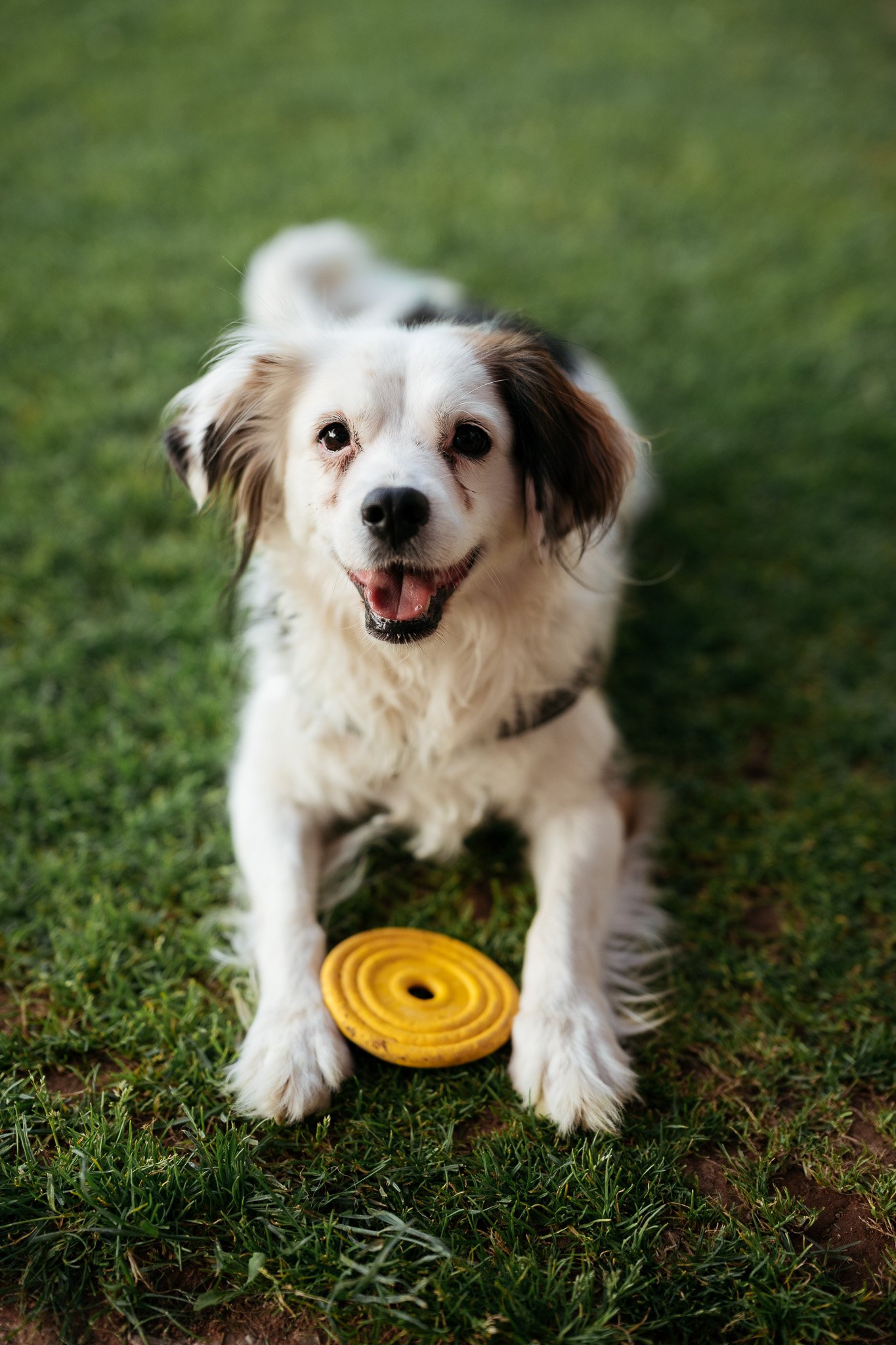 DSC_0627 - 2048px.JPG