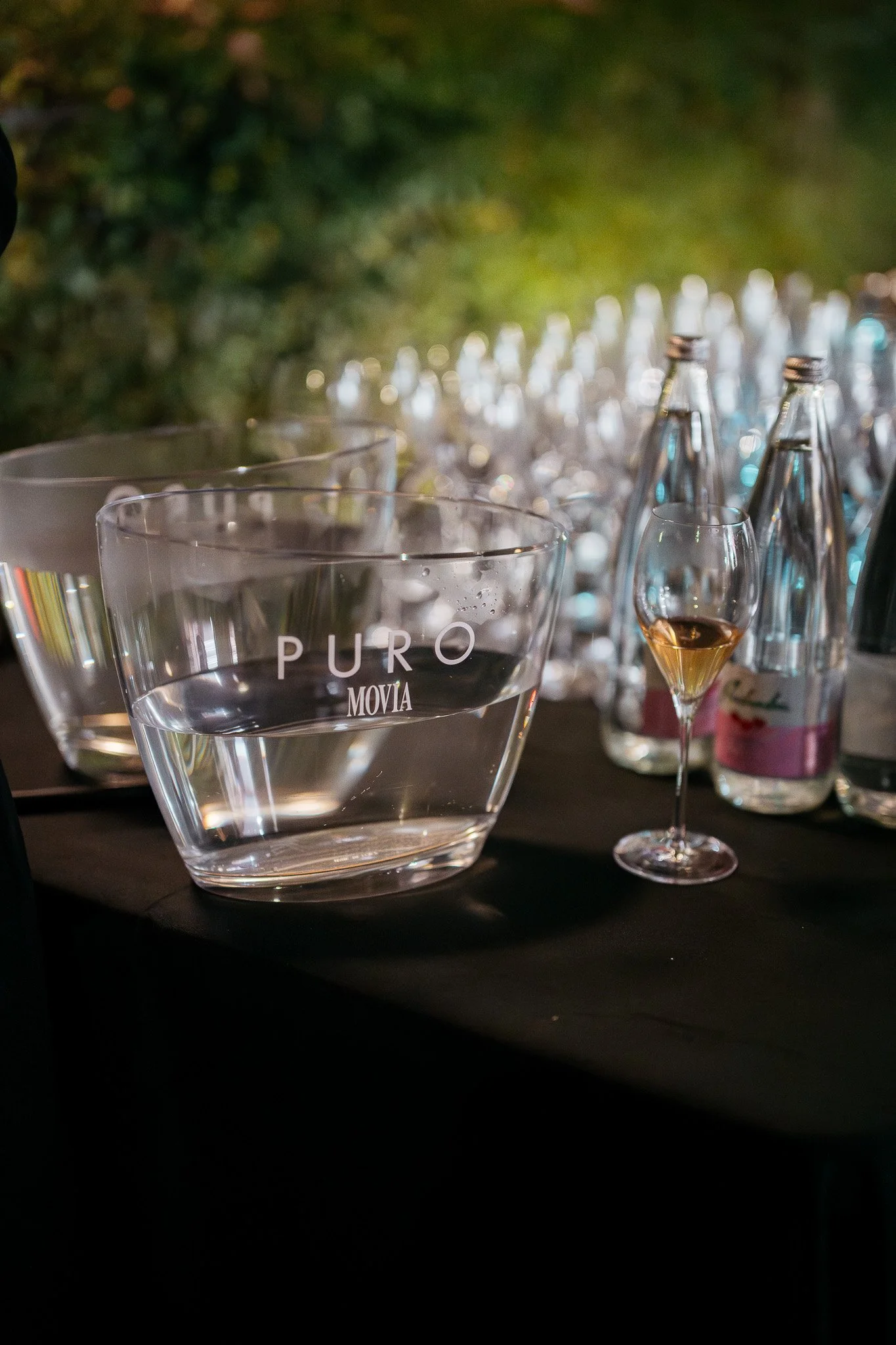 DSC_0052 - 2048px.JPG