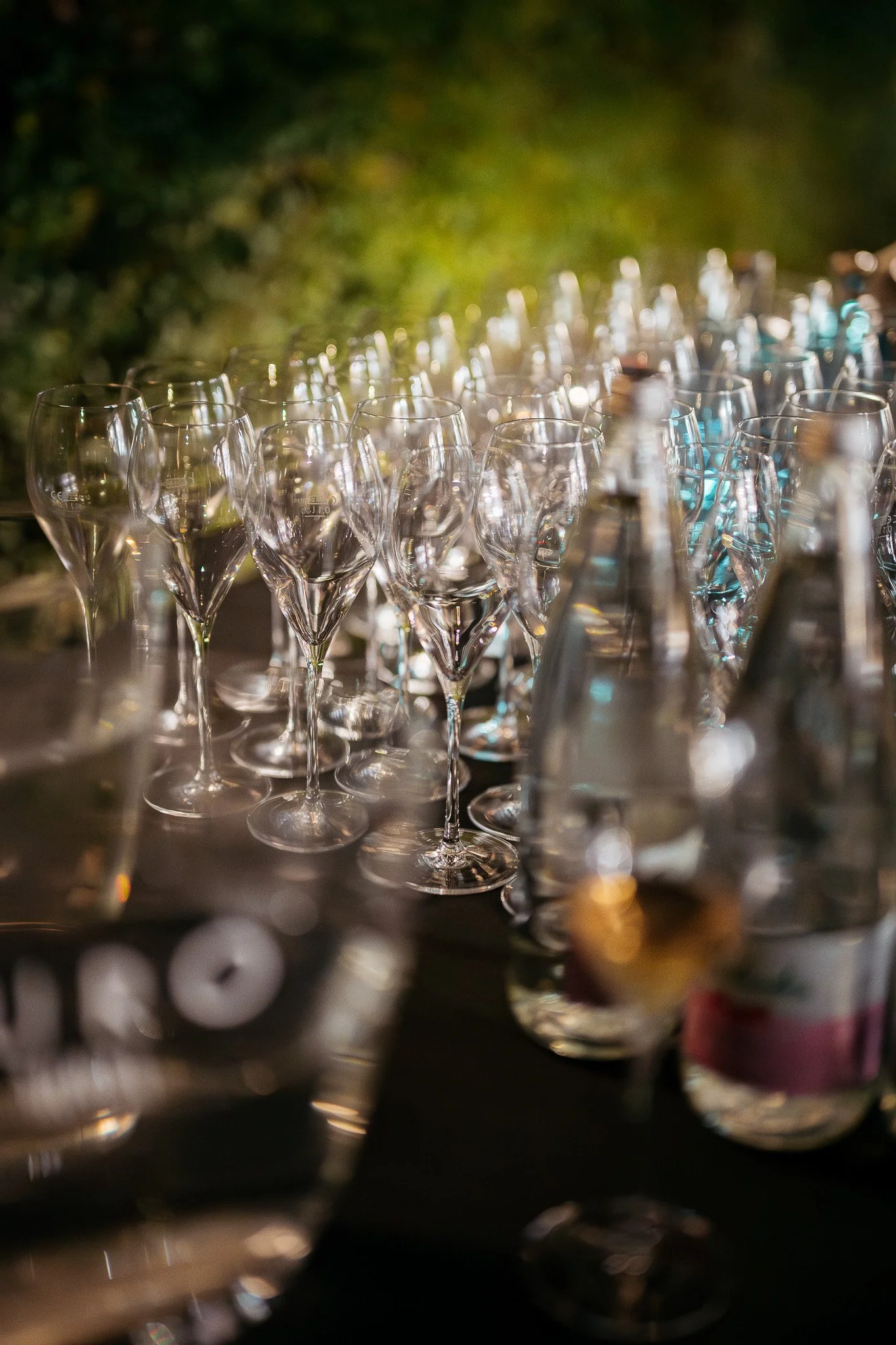 DSC_0055 - 2048px.JPG