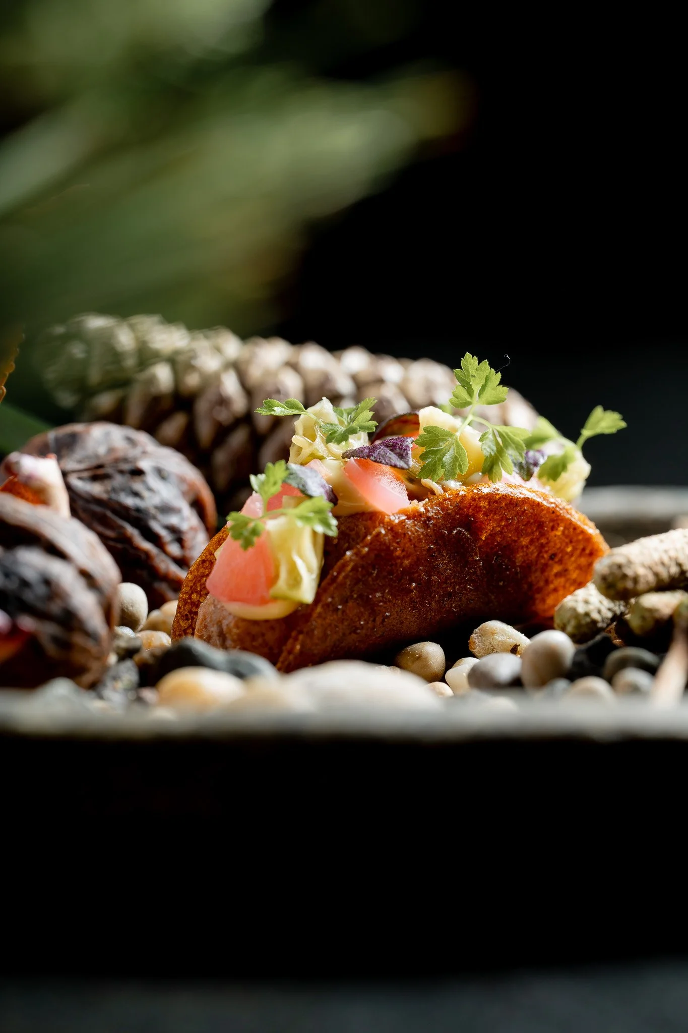 DSC_1360 - 2048px.JPG