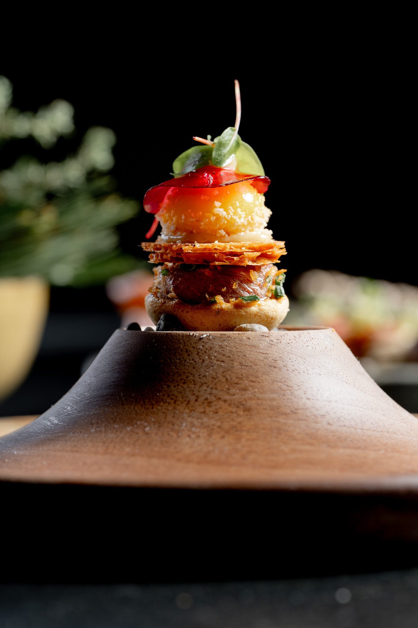 DSC_1367 - 2048px.JPG