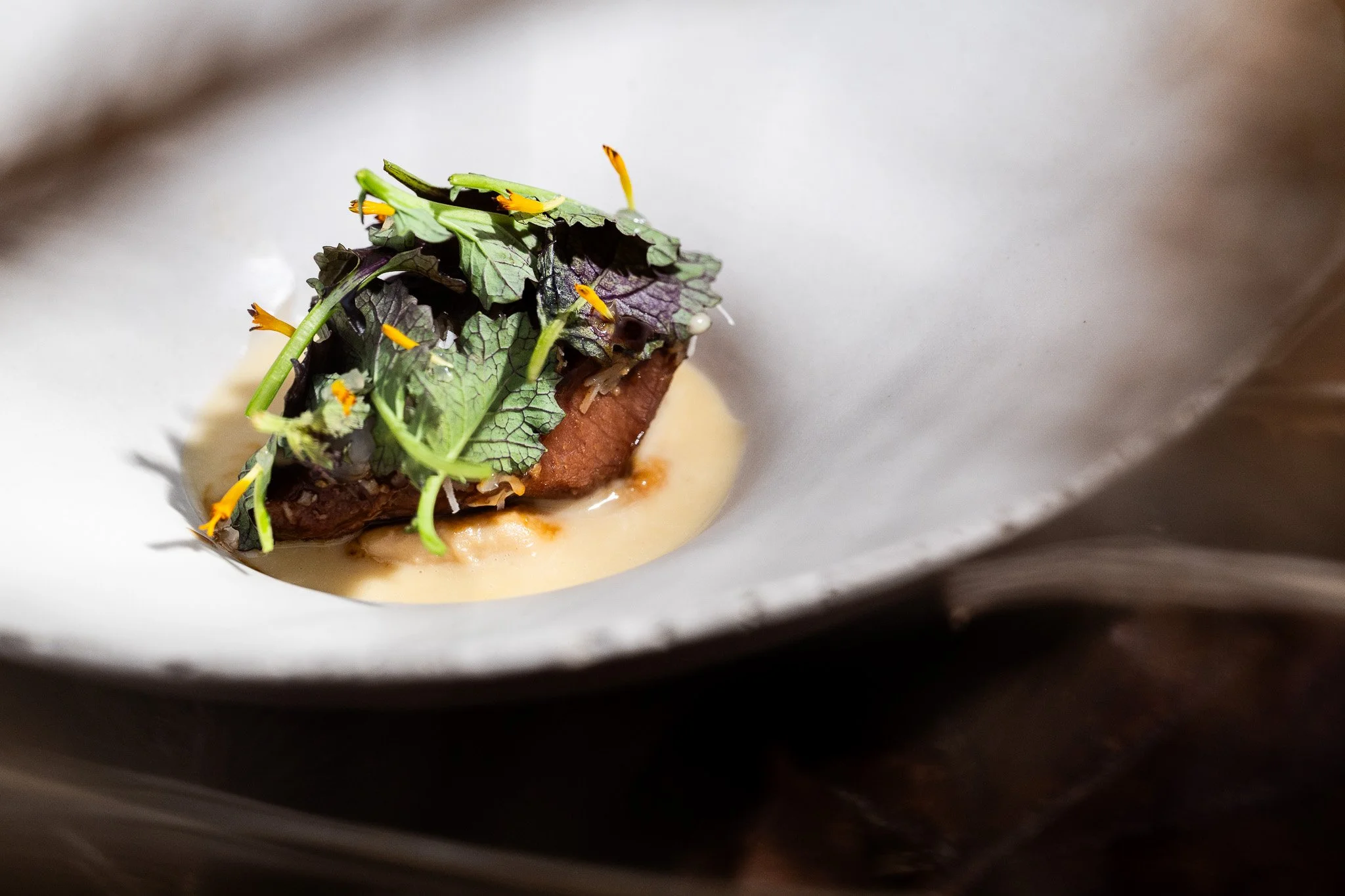 DSC_1967 - 2048px.JPG