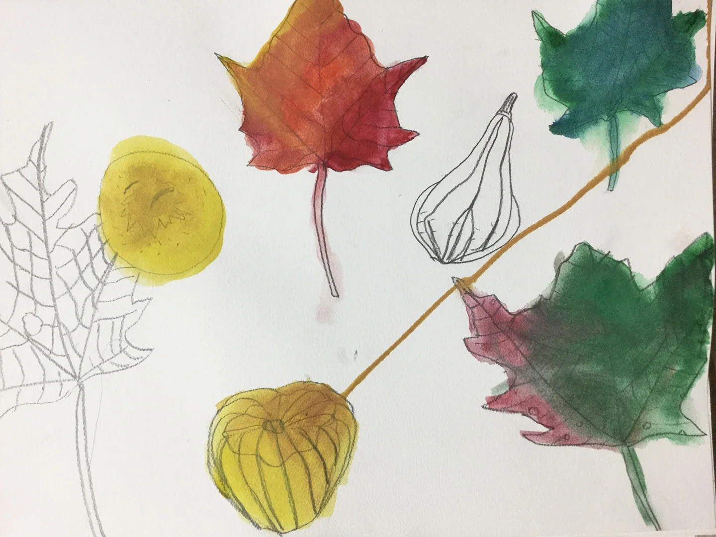 STUDENT LEAVES FOR WEB.jpg