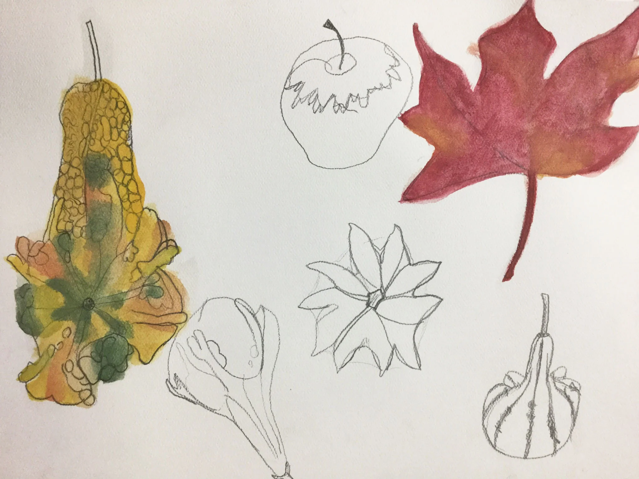 STUDENT GOURD FOR WEB.jpg