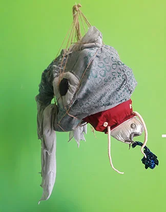 WEB FILE hierarchy of fish.jpg