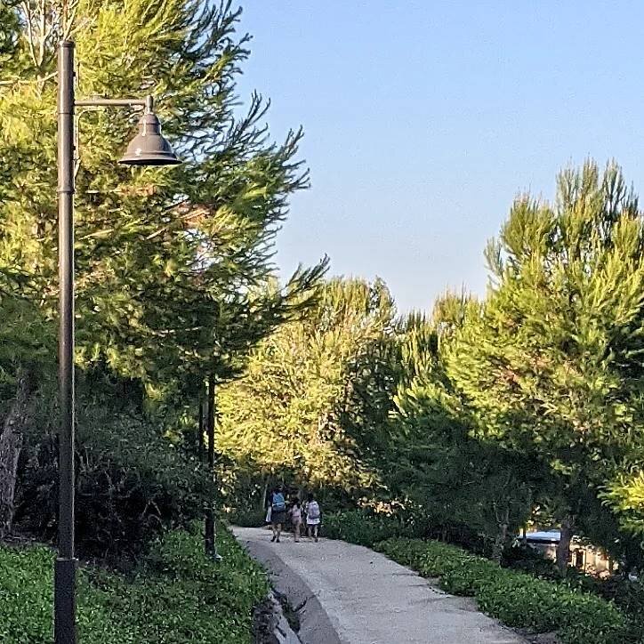 #BackToSchool means back to walking to school.  Easily one of my favorite moments of the day. 

I'm outdoors, getting fresh air and natural light, connecting with family, and getting movement in all before the stresses of the day.  Moreover, it's som