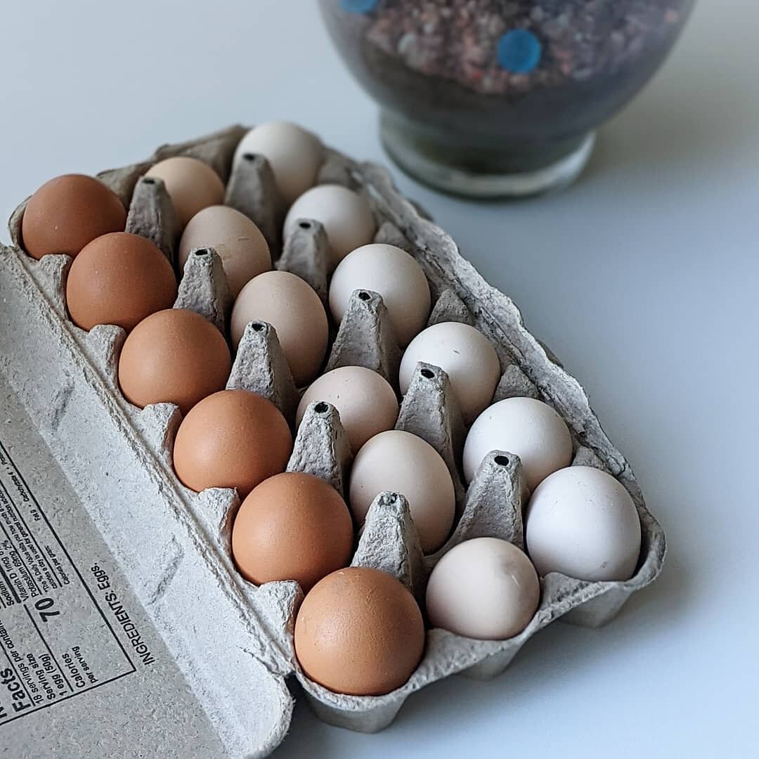 Do you know where your food comes from?

These beauties 🥚come via Rosemary, Coco, and Cinnamon, three suburban chickens fed an all natural diet and the occasional snack of gogi berry leaves! 😋

Days like this make me feel like an old fashioned coun