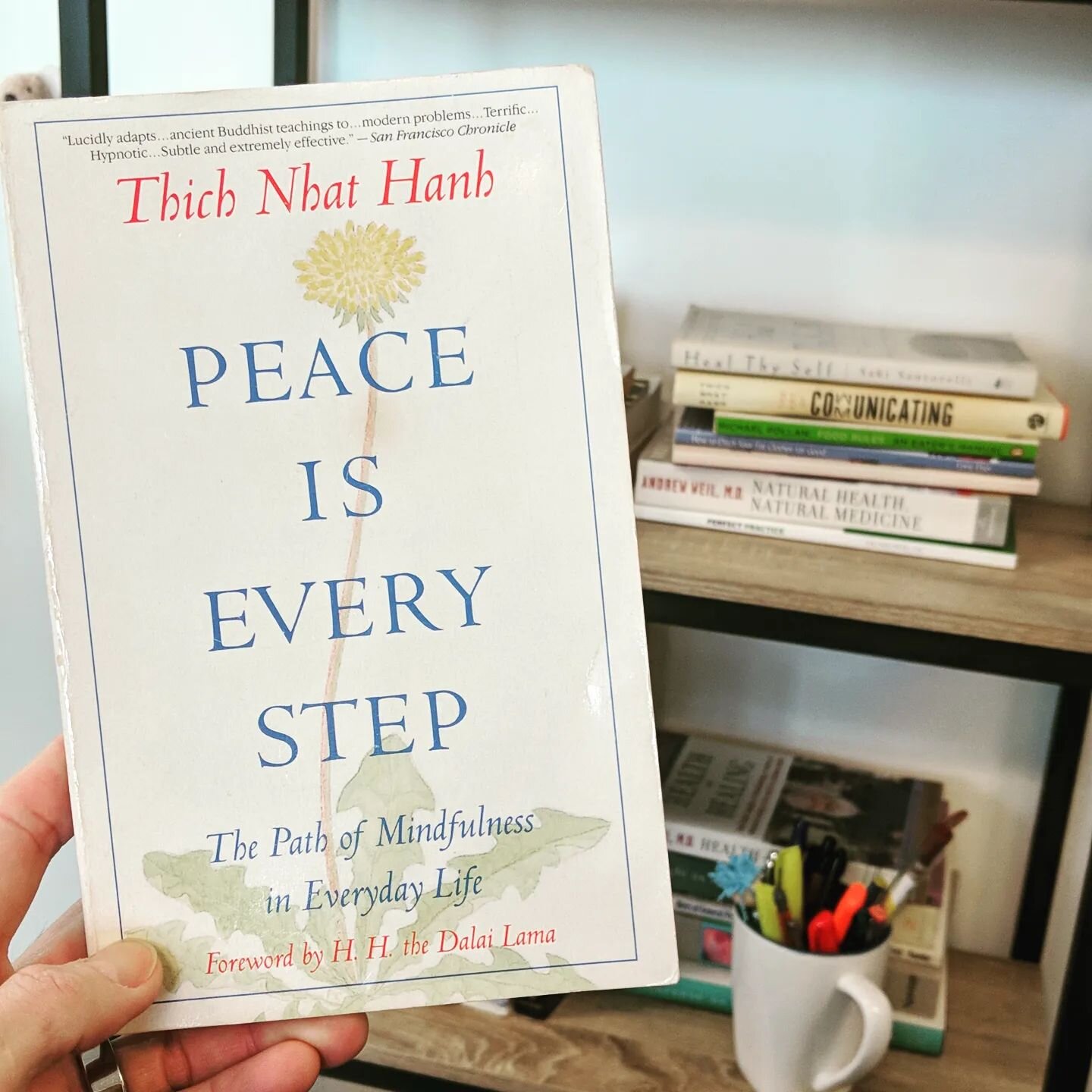 REST IN PEACE IS EVERY STEP

Weekend (re)reading of one of my all time favorites.

Thank you for sharing your wisdom. &hearts;️