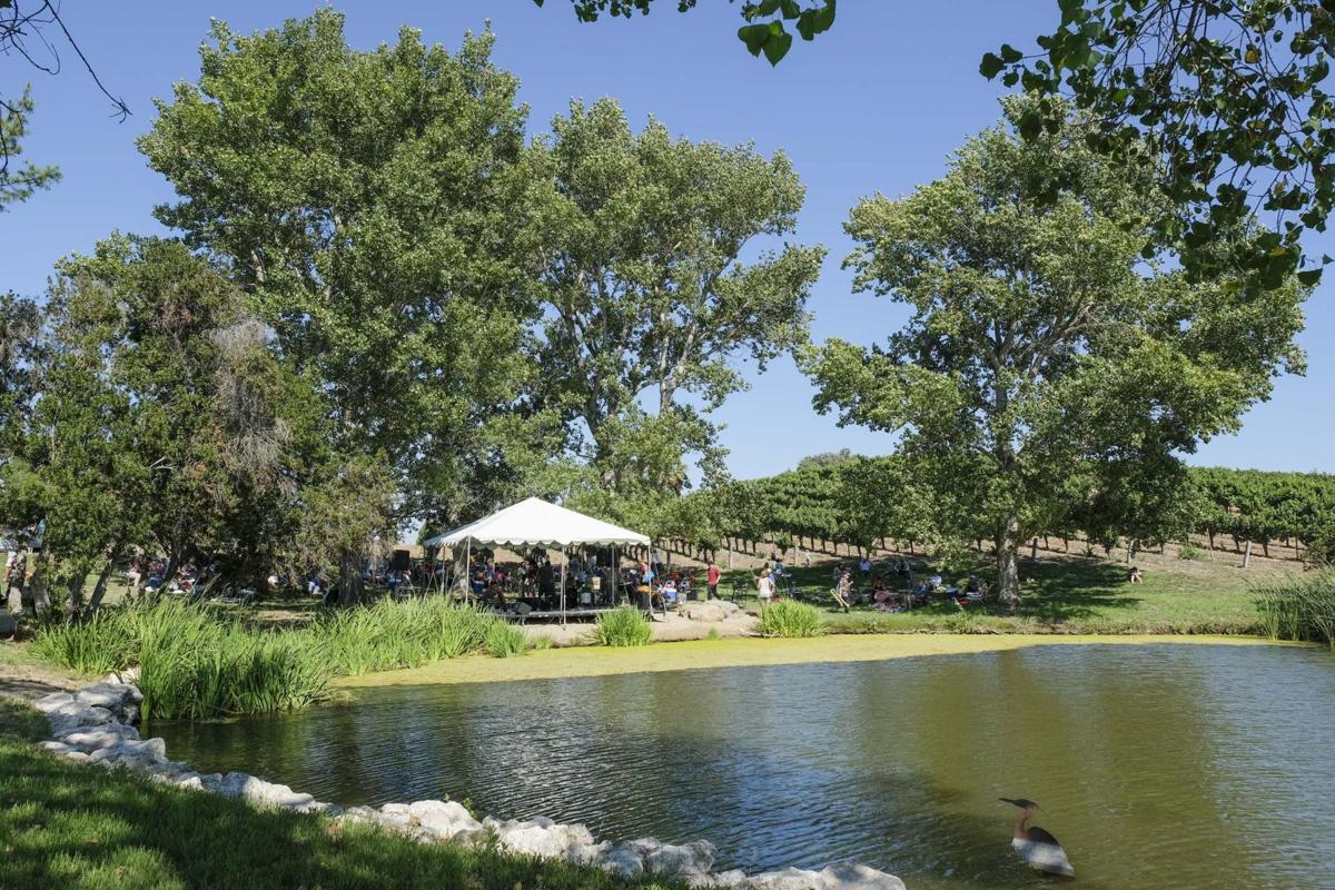 Pond.jpg