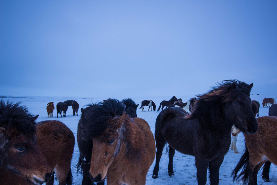 Near Vik, Iceland