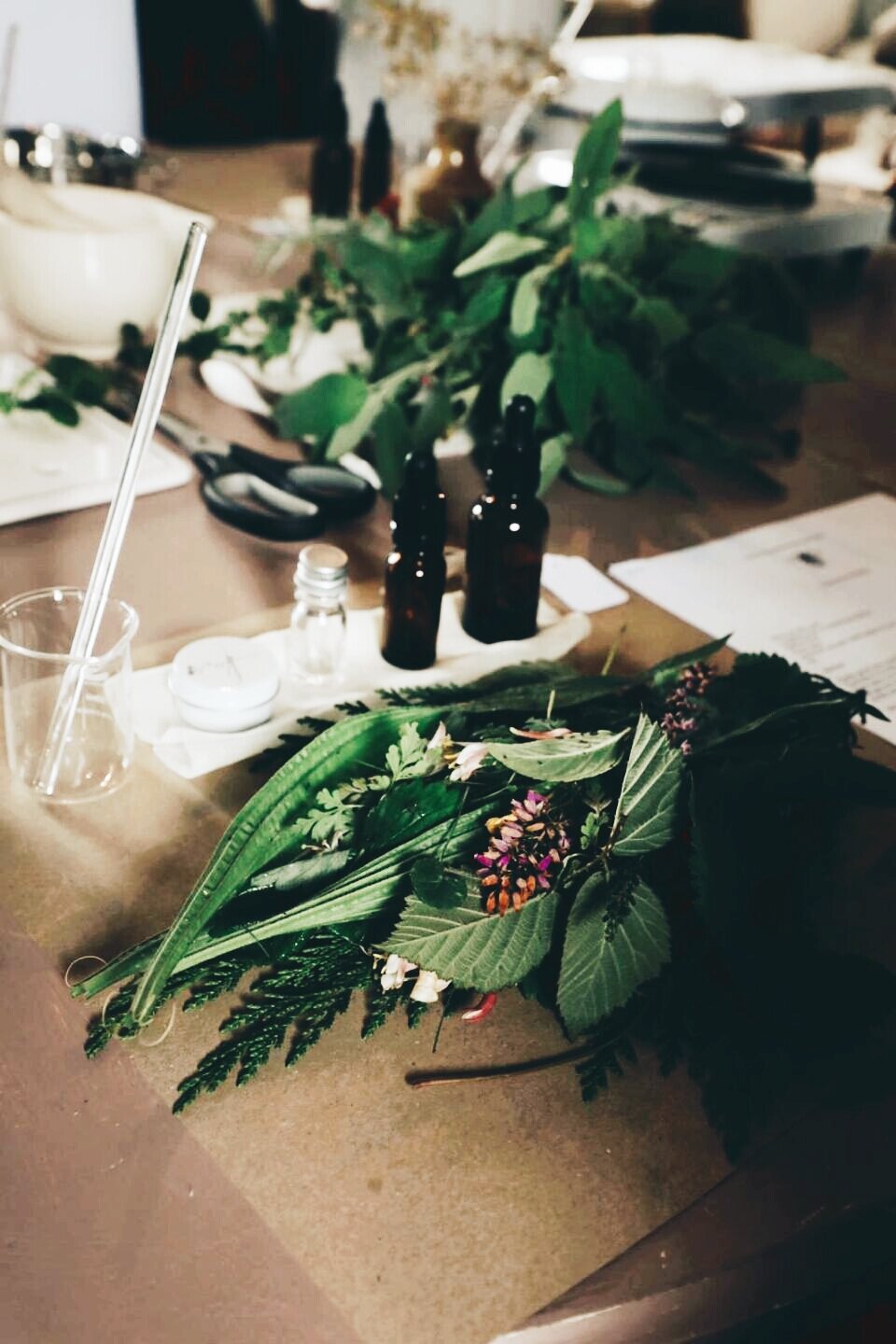 aviary-image-1569229942324.jpeg