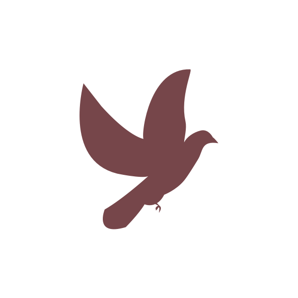 biologos2.png