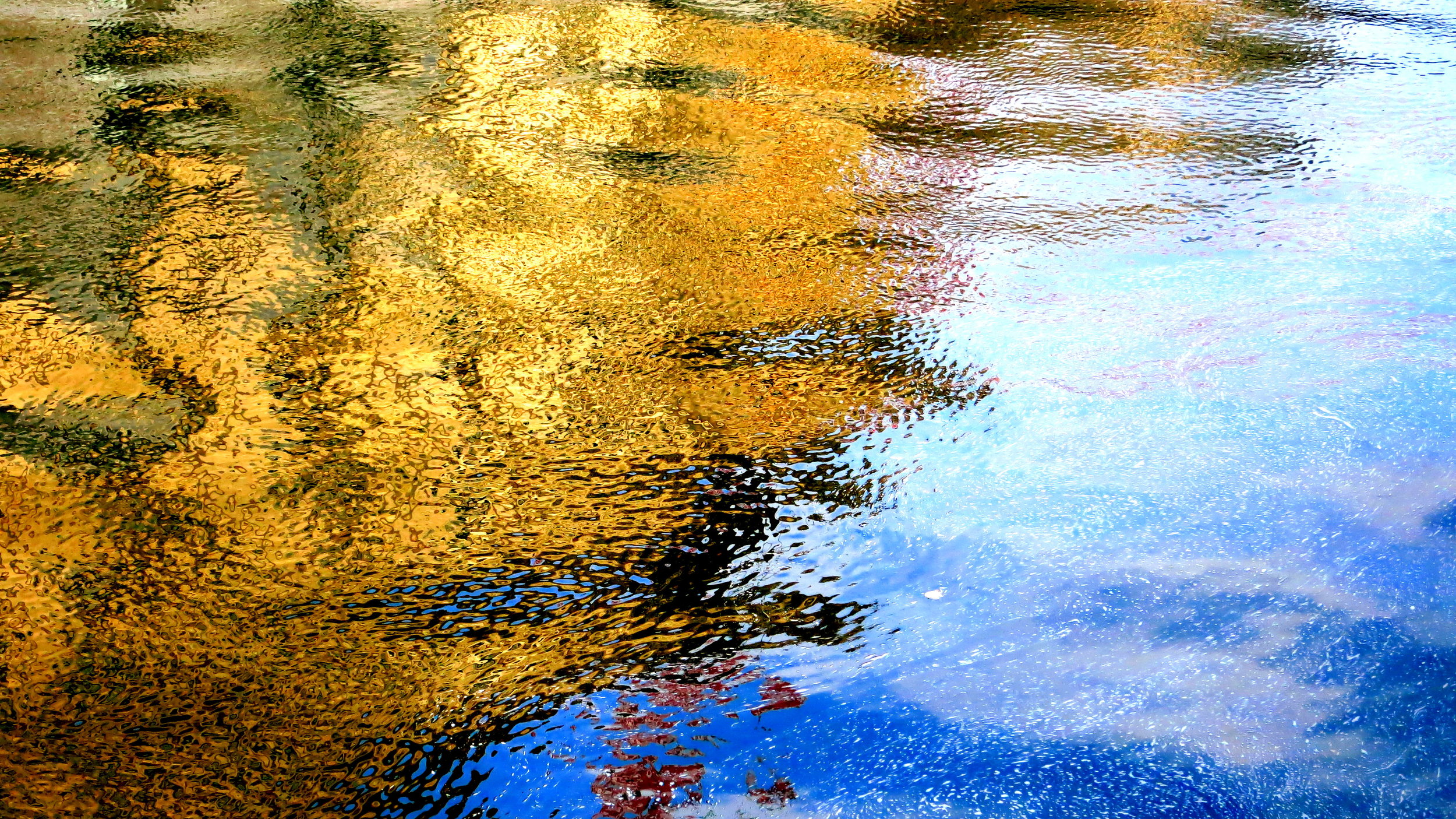 spring flows into the river spree, berlin © colin goedecke