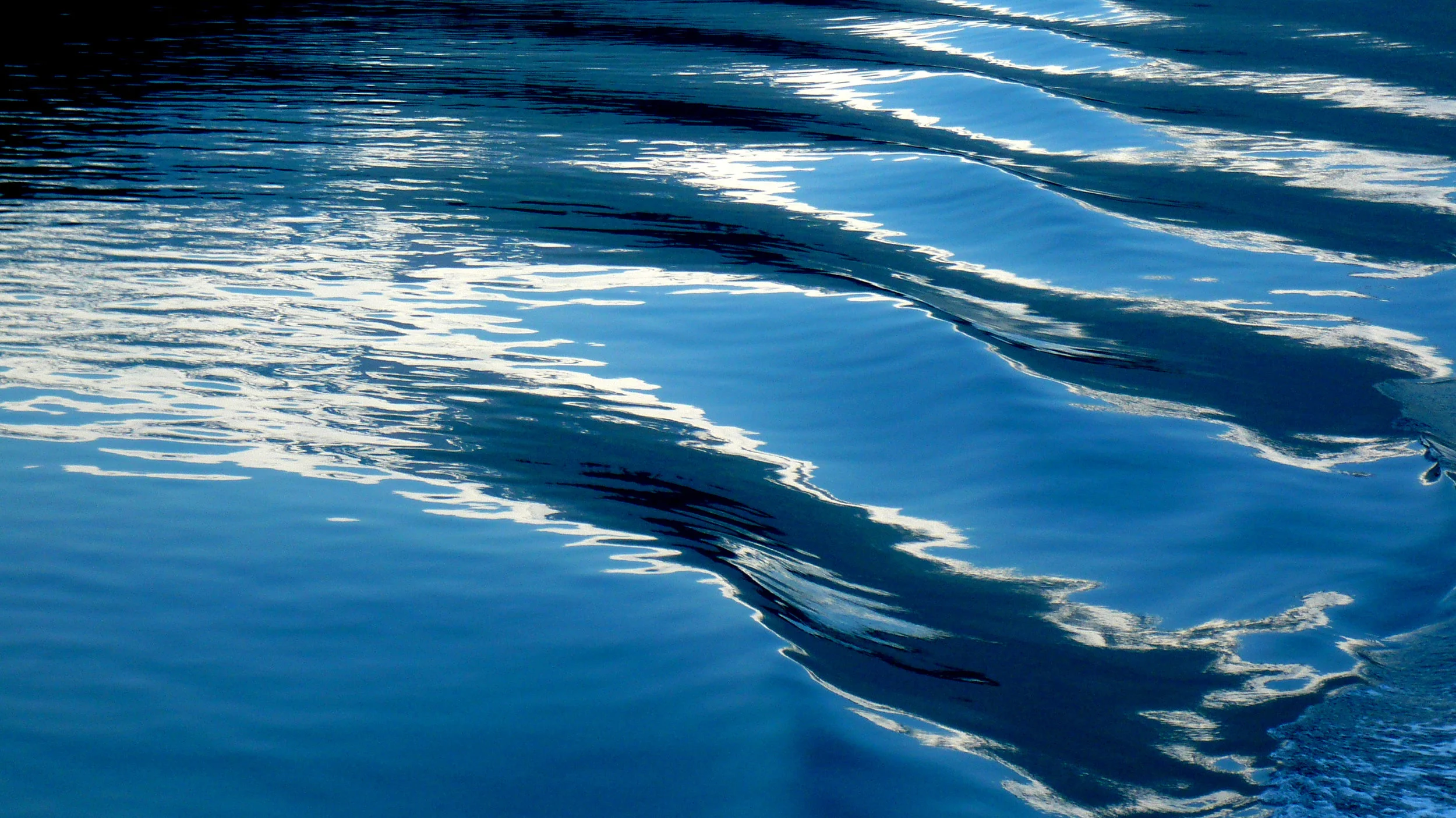rhapsody in blue, the inside passage, alaska © colin goedecke