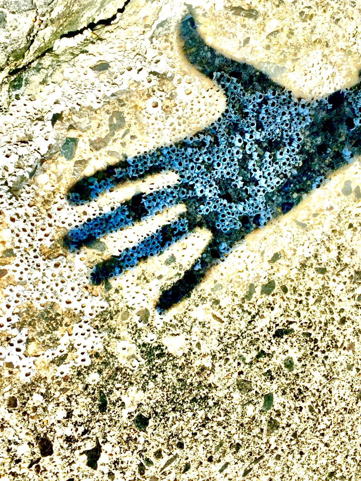 behold the ancient mariner © colin goedecke