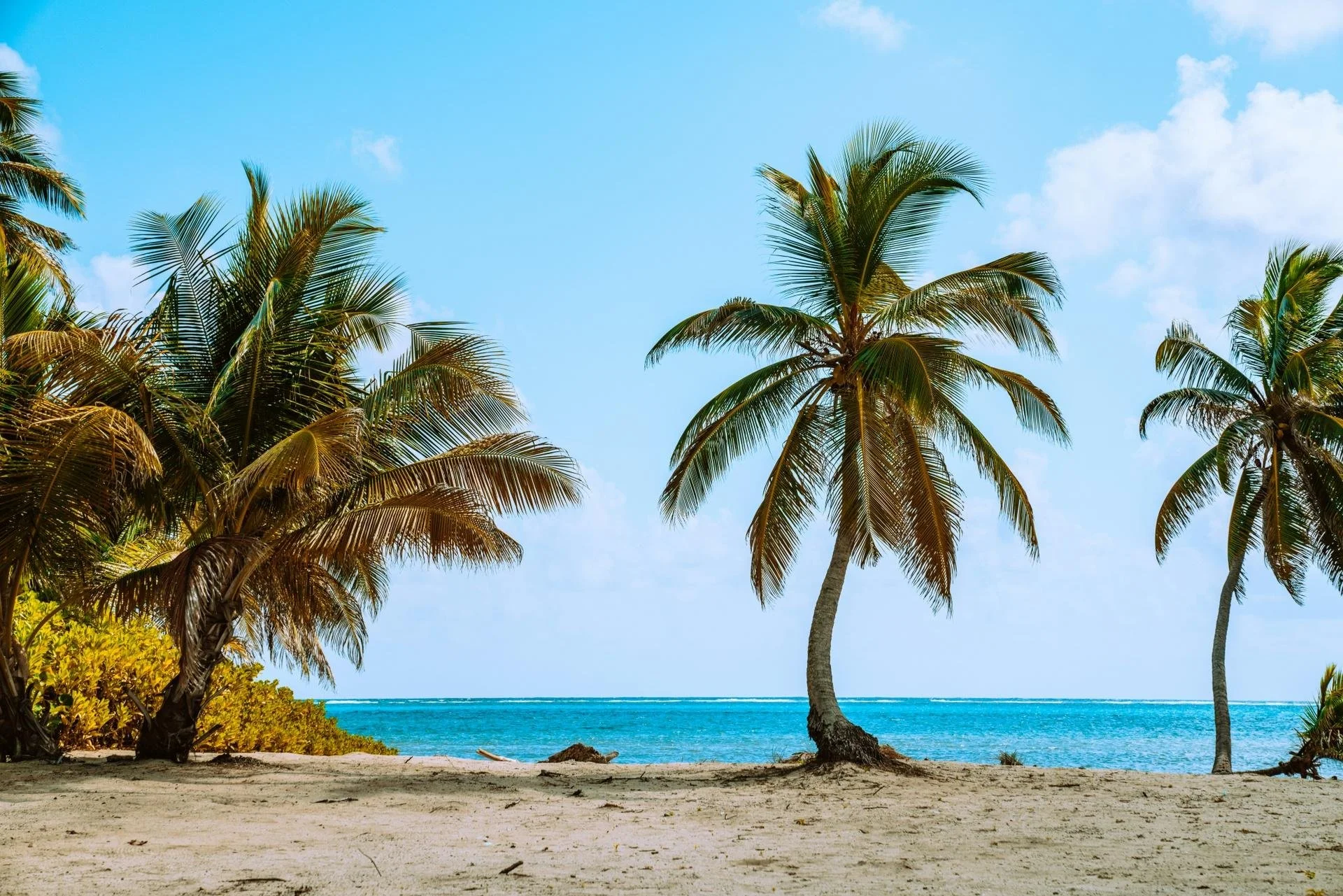 Unsplash_merittthomas_Yy4CcYf3e8Q.jpg