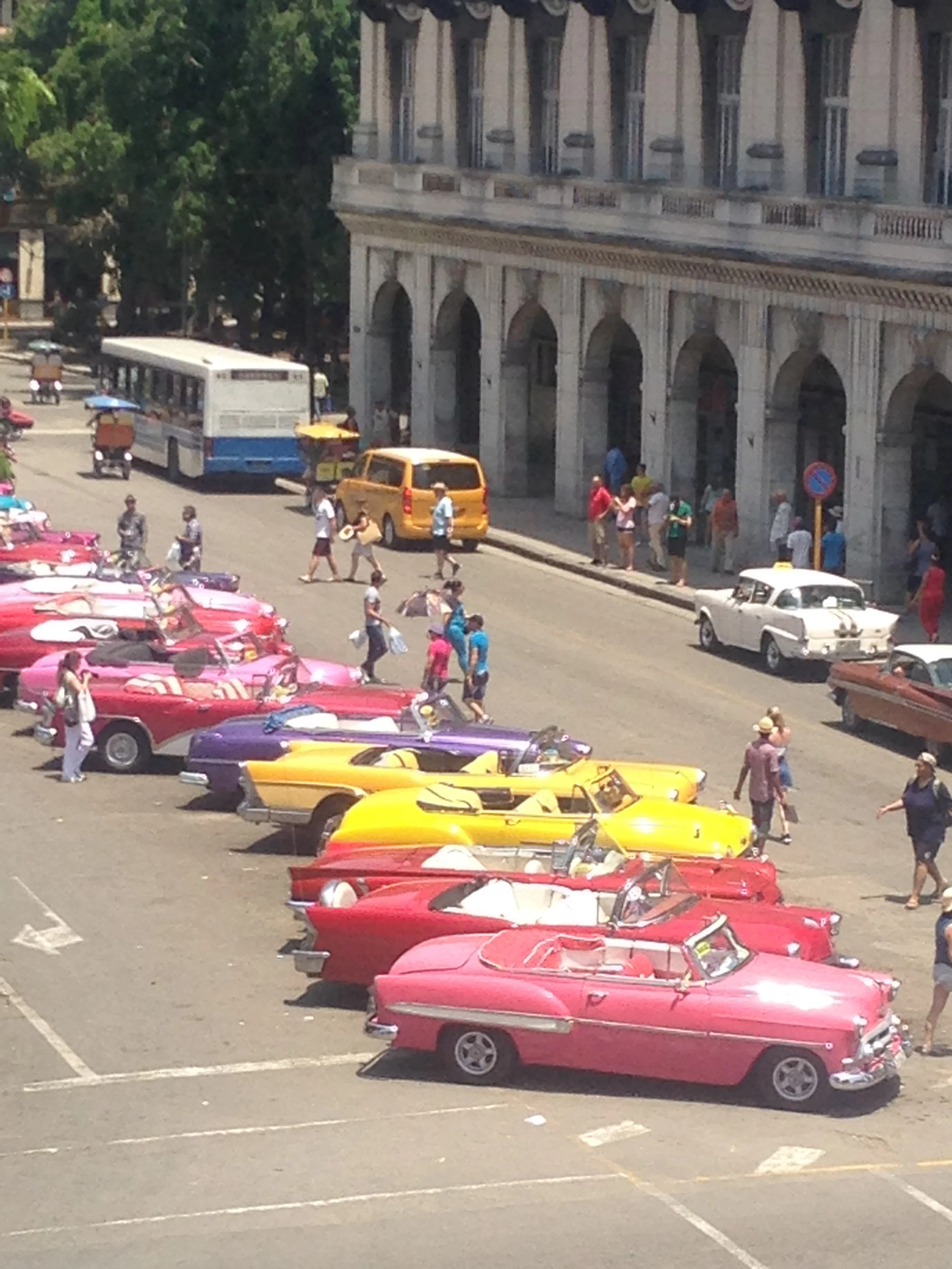 Havana cars in Plaza.jpg