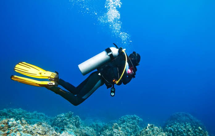 Diving.jpg
