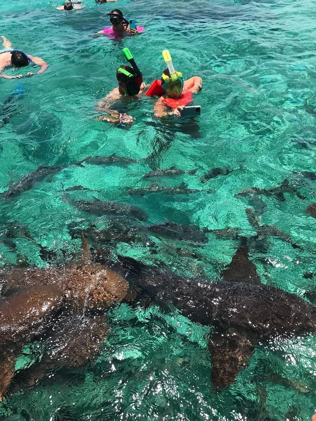 Hol Chan and Shark Ray 2.jpg