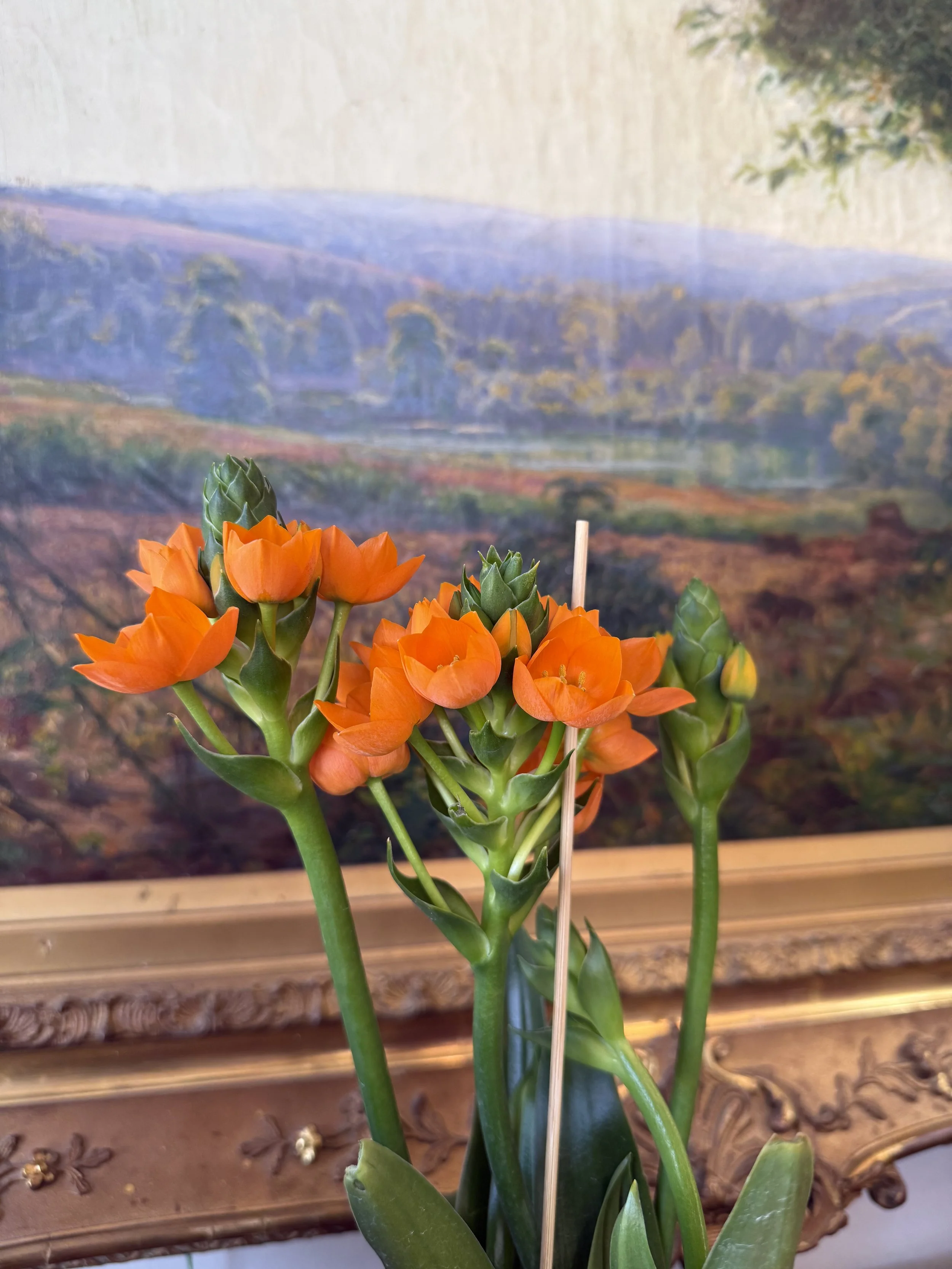 Photo Apr 10 2026, 11 57 33 AM.jpg