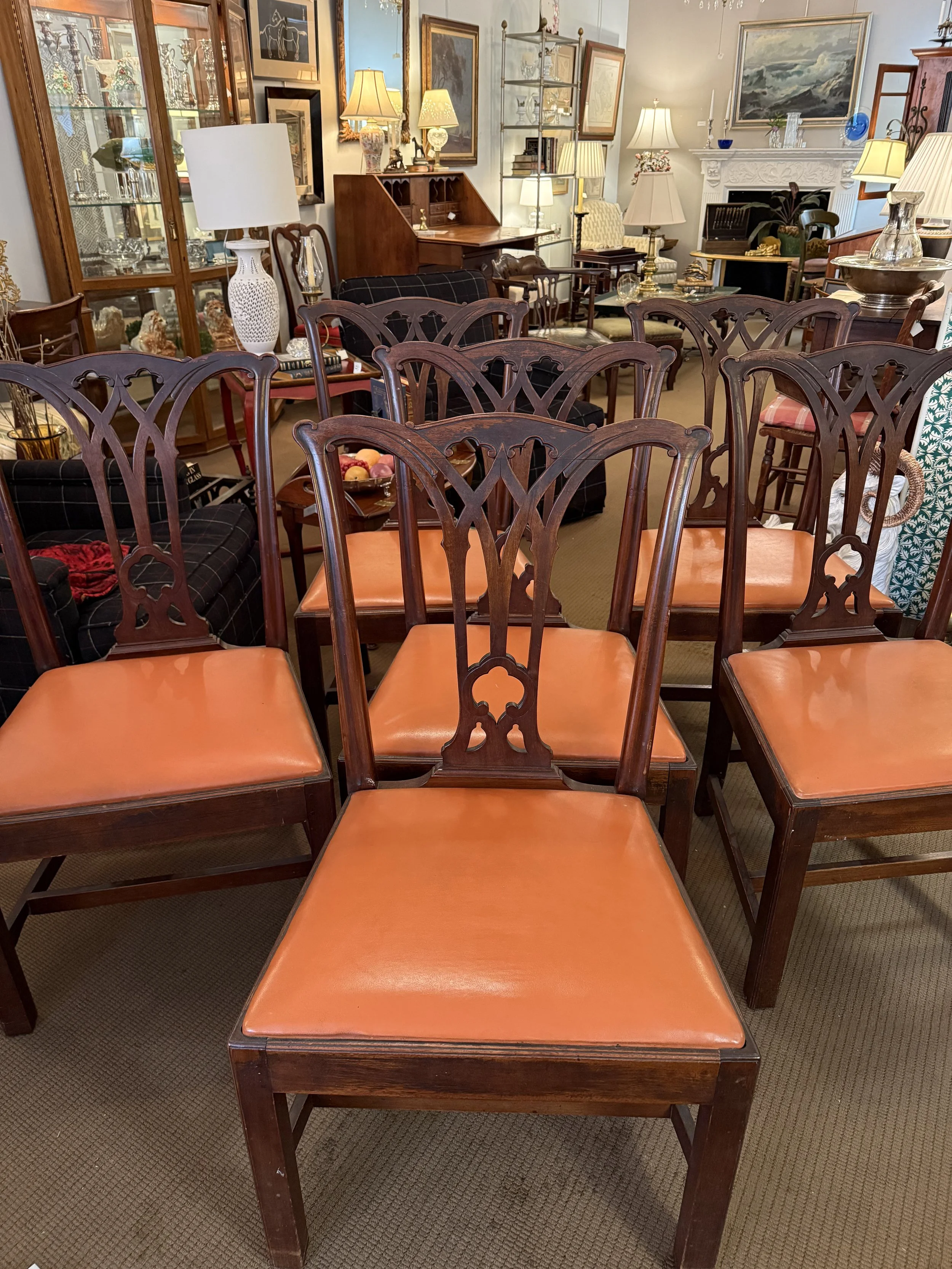 Photo Jan 27 2026, 3 47 39 PM.jpg