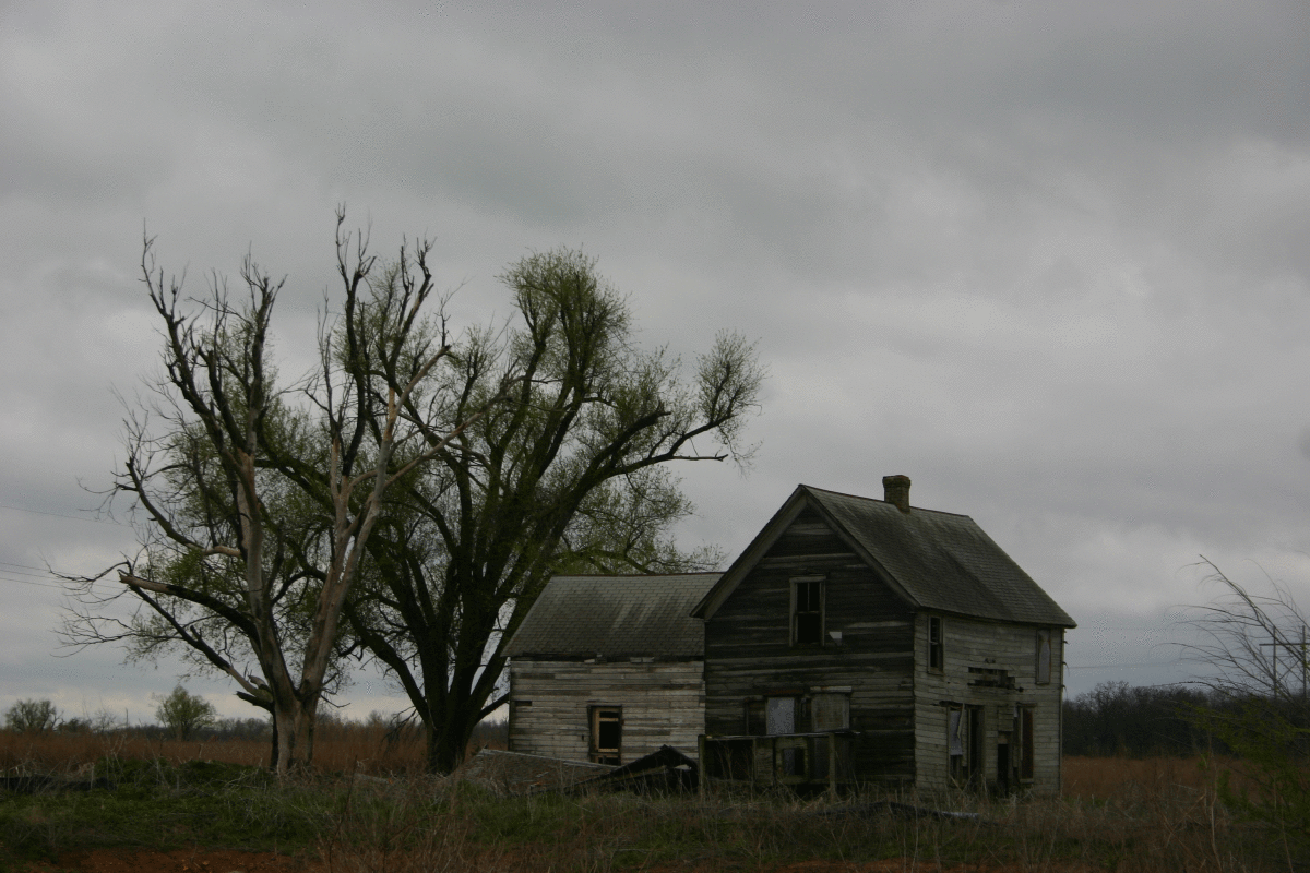 seba-road-farm.gif