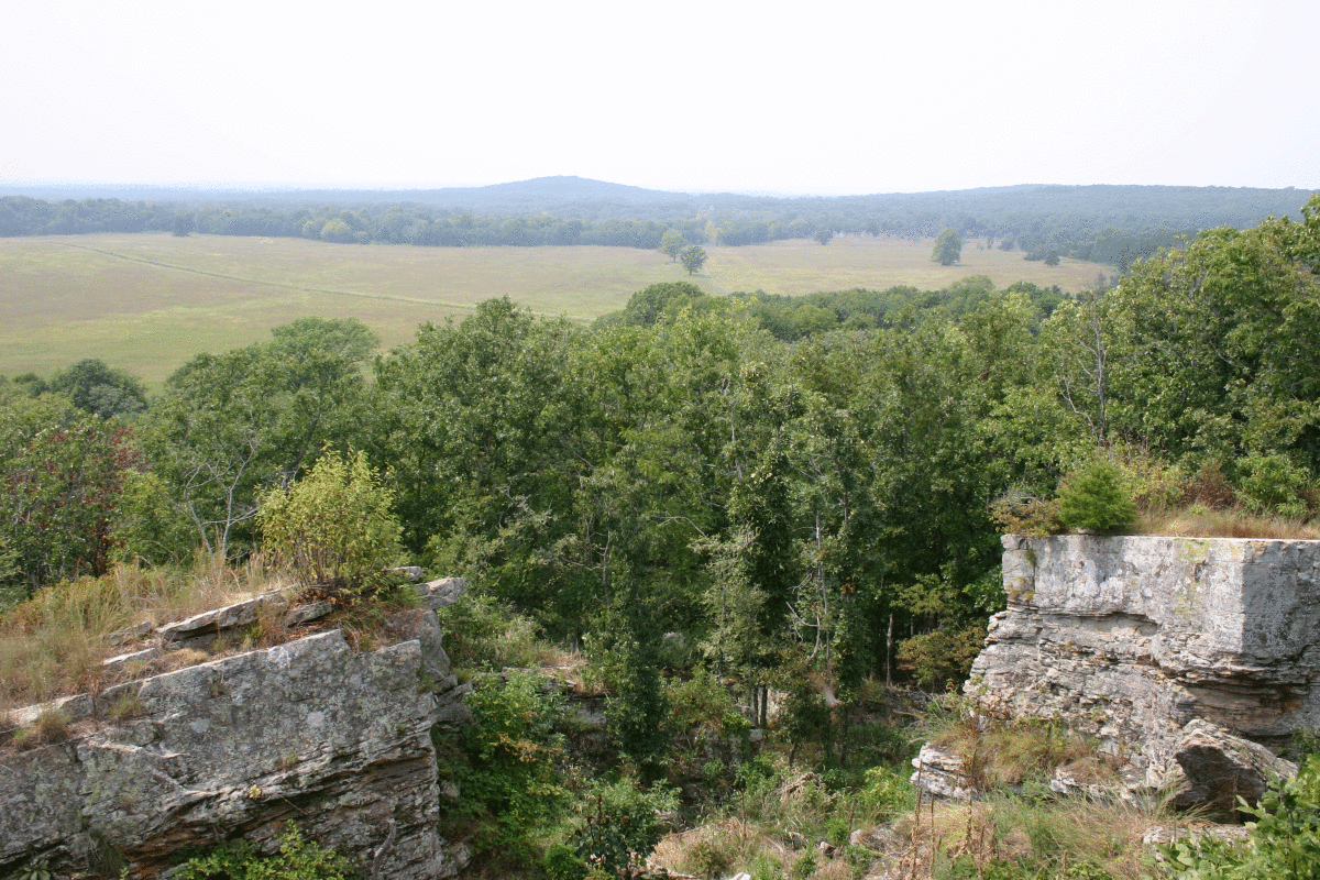 pea-ridge-008.gif