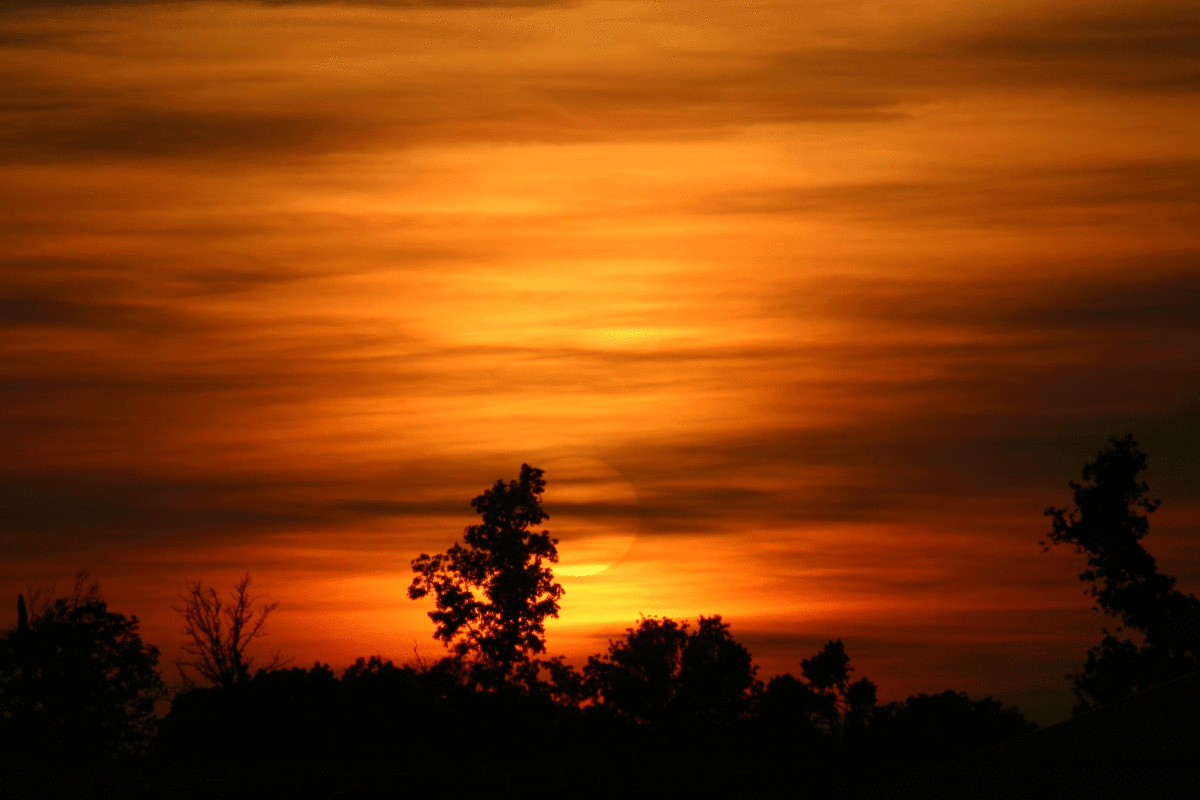 sunset-1.gif