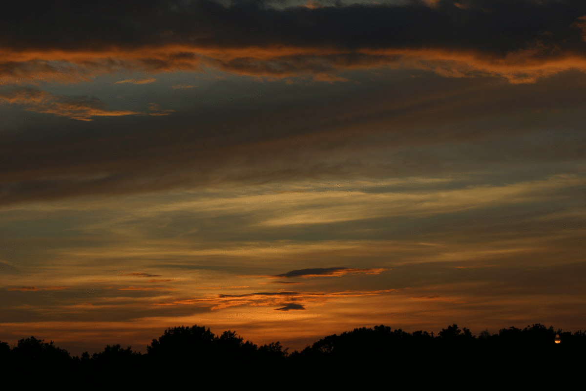 twilight.gif