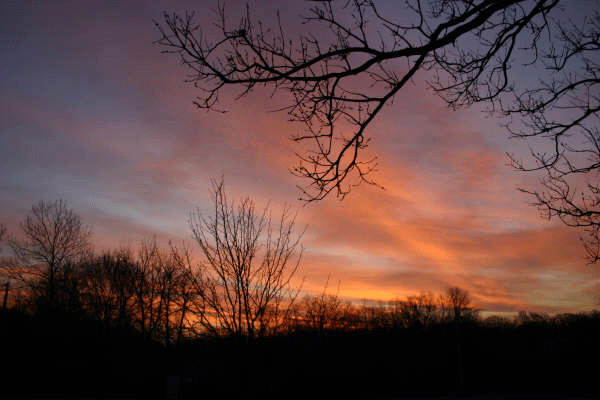 sunset2.gif