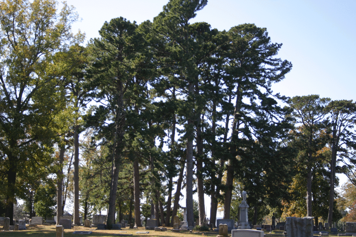 oddfellows-cemetary.gif