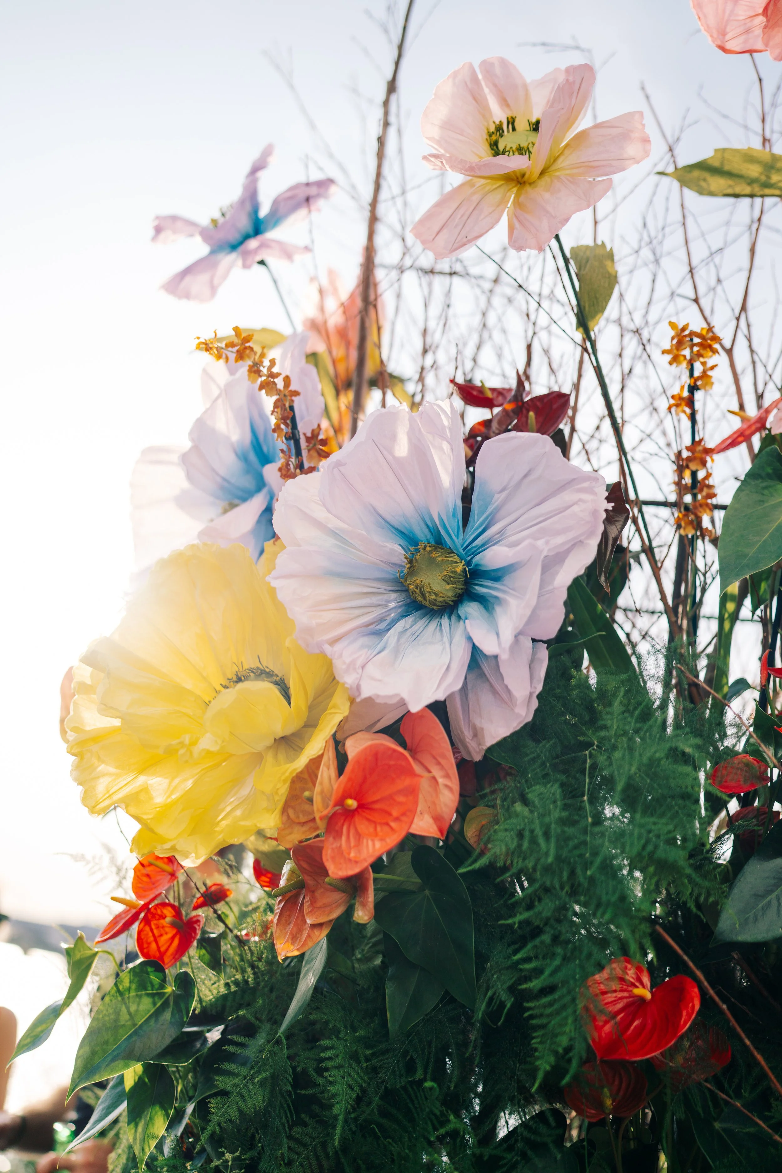 PVH Summer Party - June 13, 2025 - © rachel ecclestone photography -DSC01387.jpg