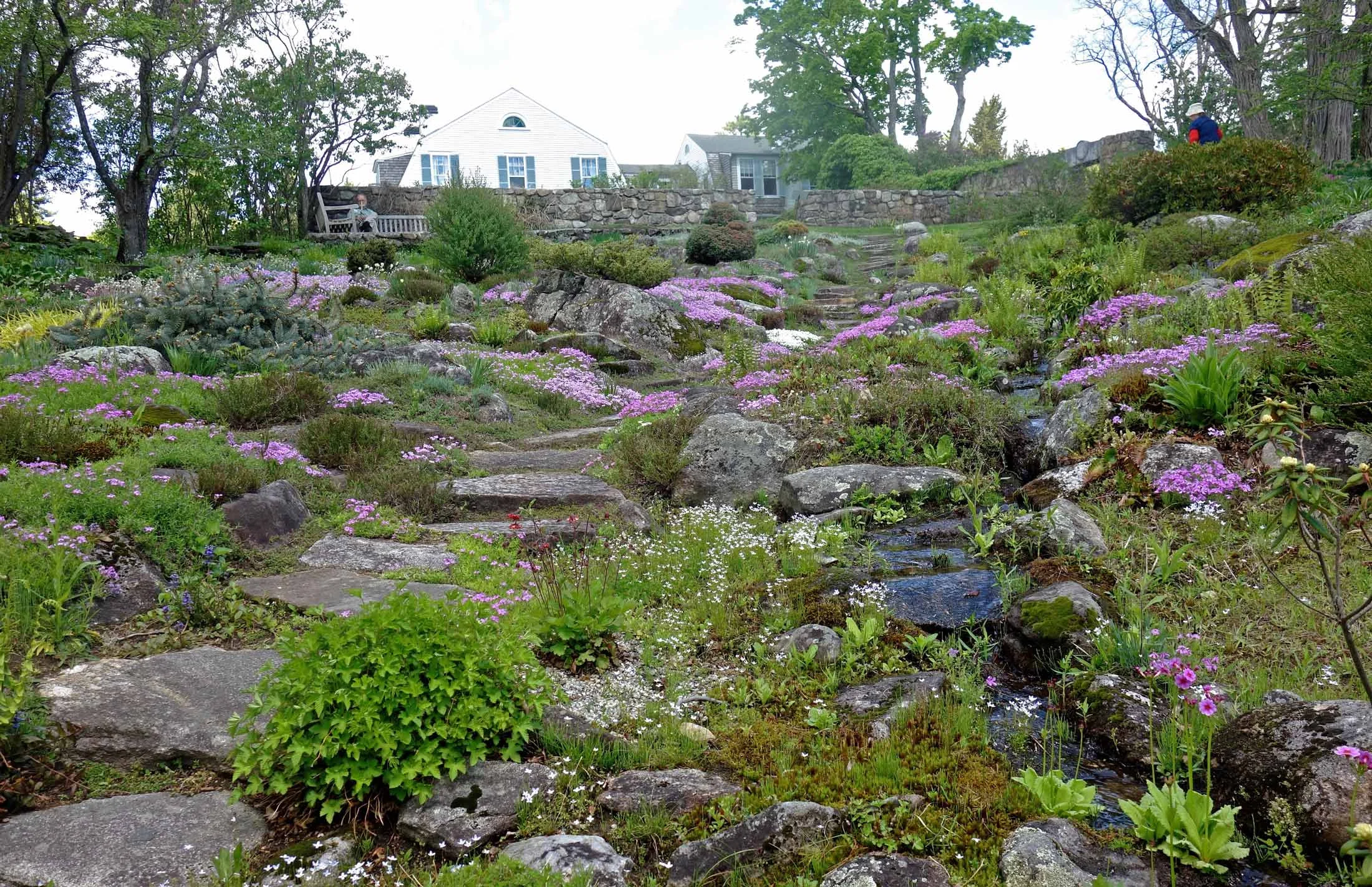 The-Fells-spring-rock-garden.jpg