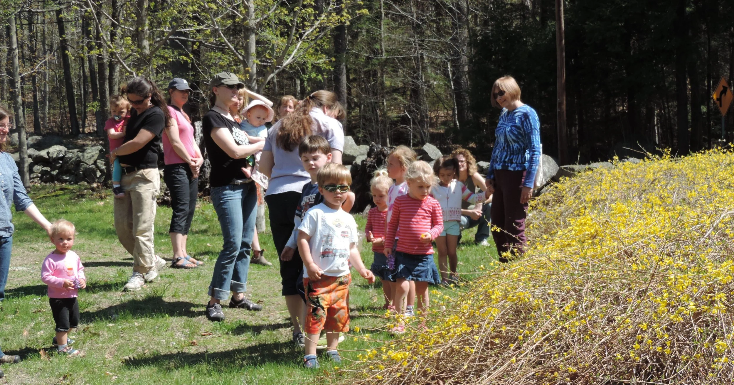 Out and About at The Fells: Spring Babies, Blooms and Bugs- Tues., May 29 10:00am