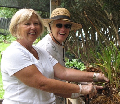 Volunteers Dividing Plants-r.jpg