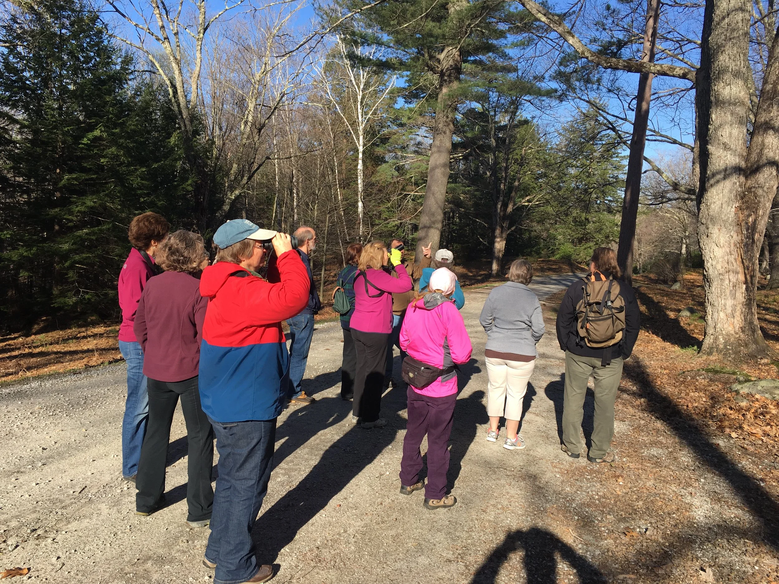 Birding by Sight and Sound - Peter Newburn