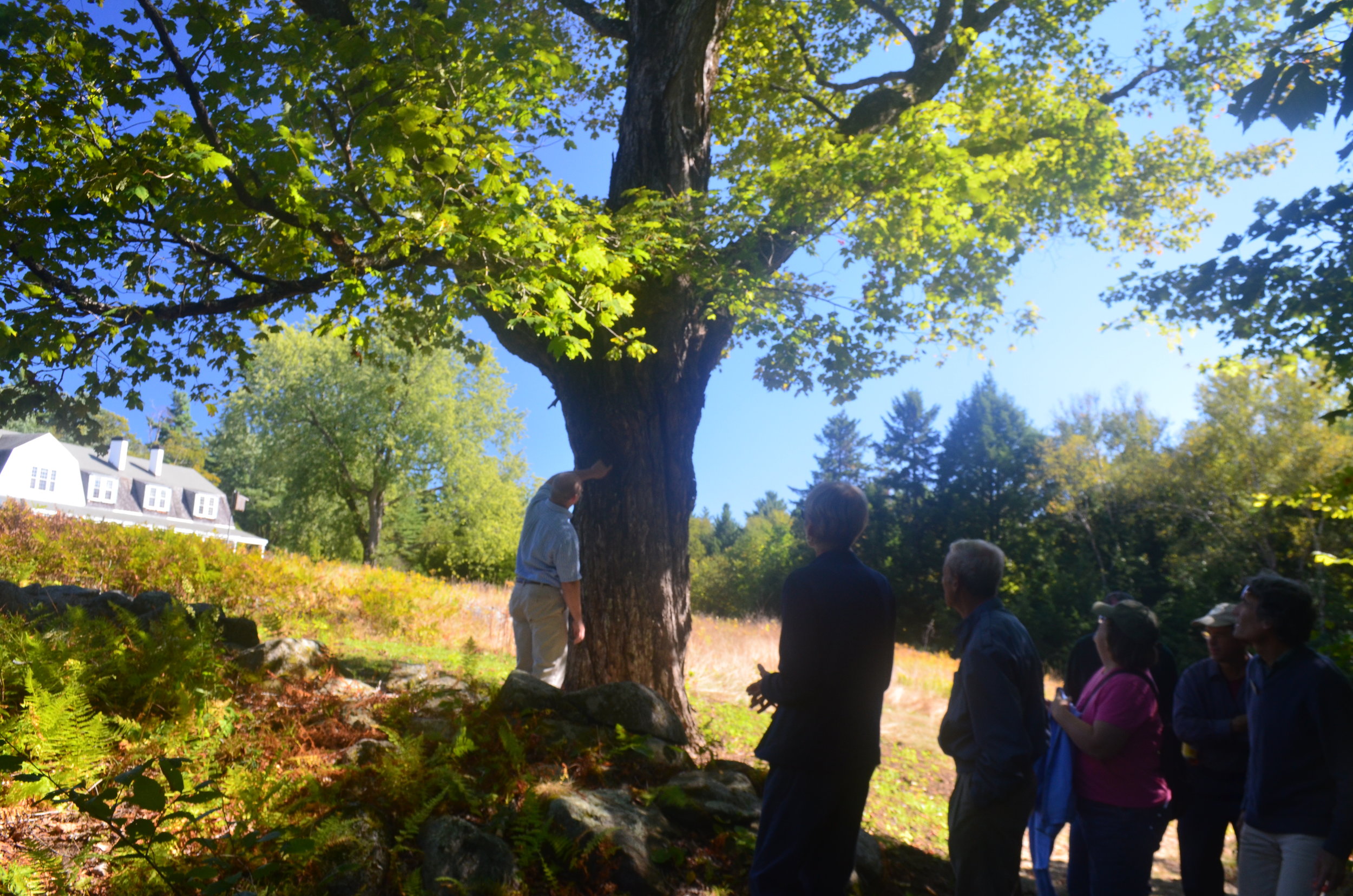 Summer at The Fells: Landscape and Legacy - Part 1 of 3