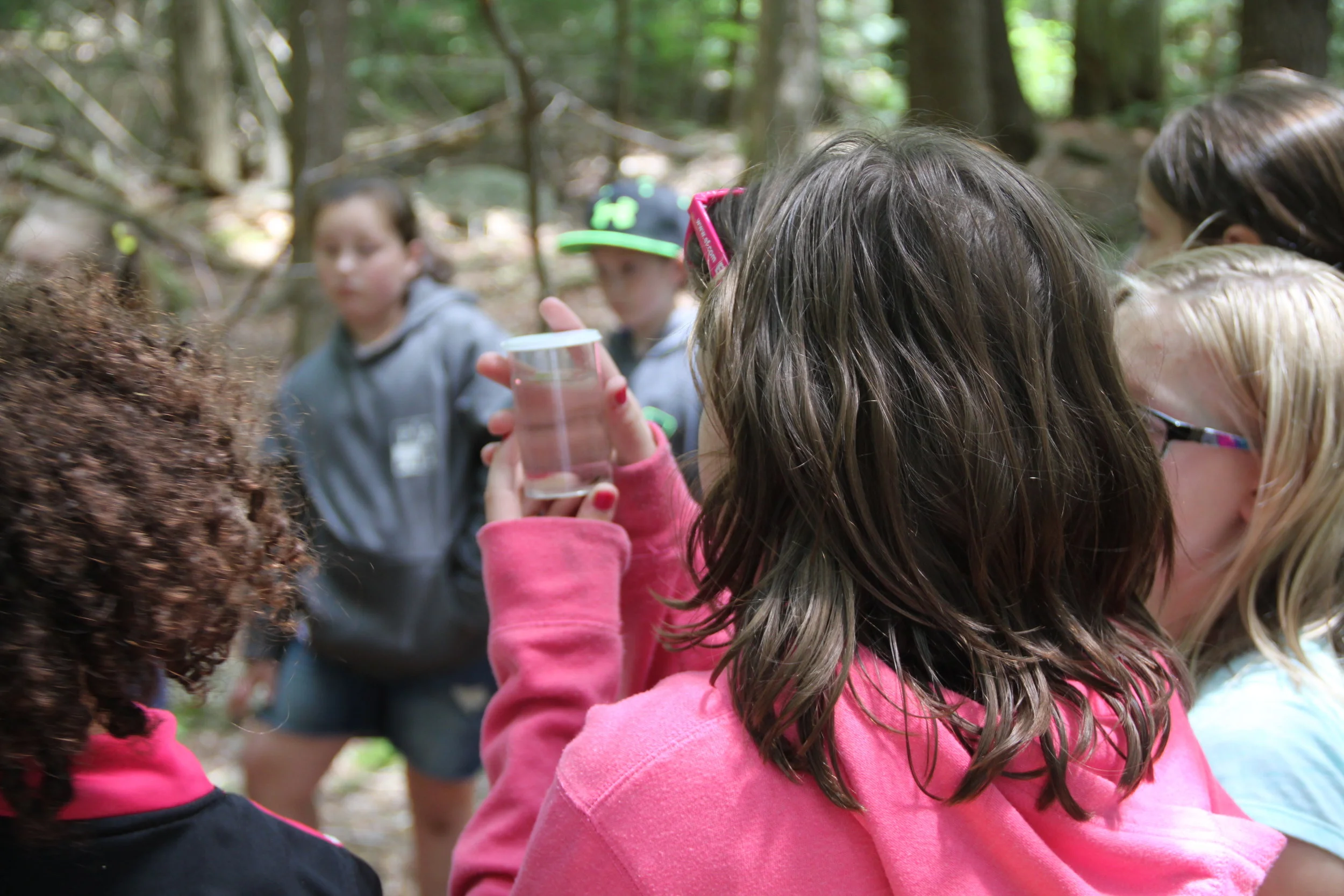Kids in Nature: Nature Explorers Camp
