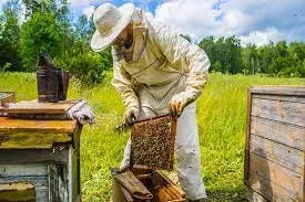 Earth Day Celebration Event: Beekeeping