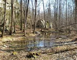 Earth Day Celebration Event: Vernal Pools&nbsp;&nbsp;