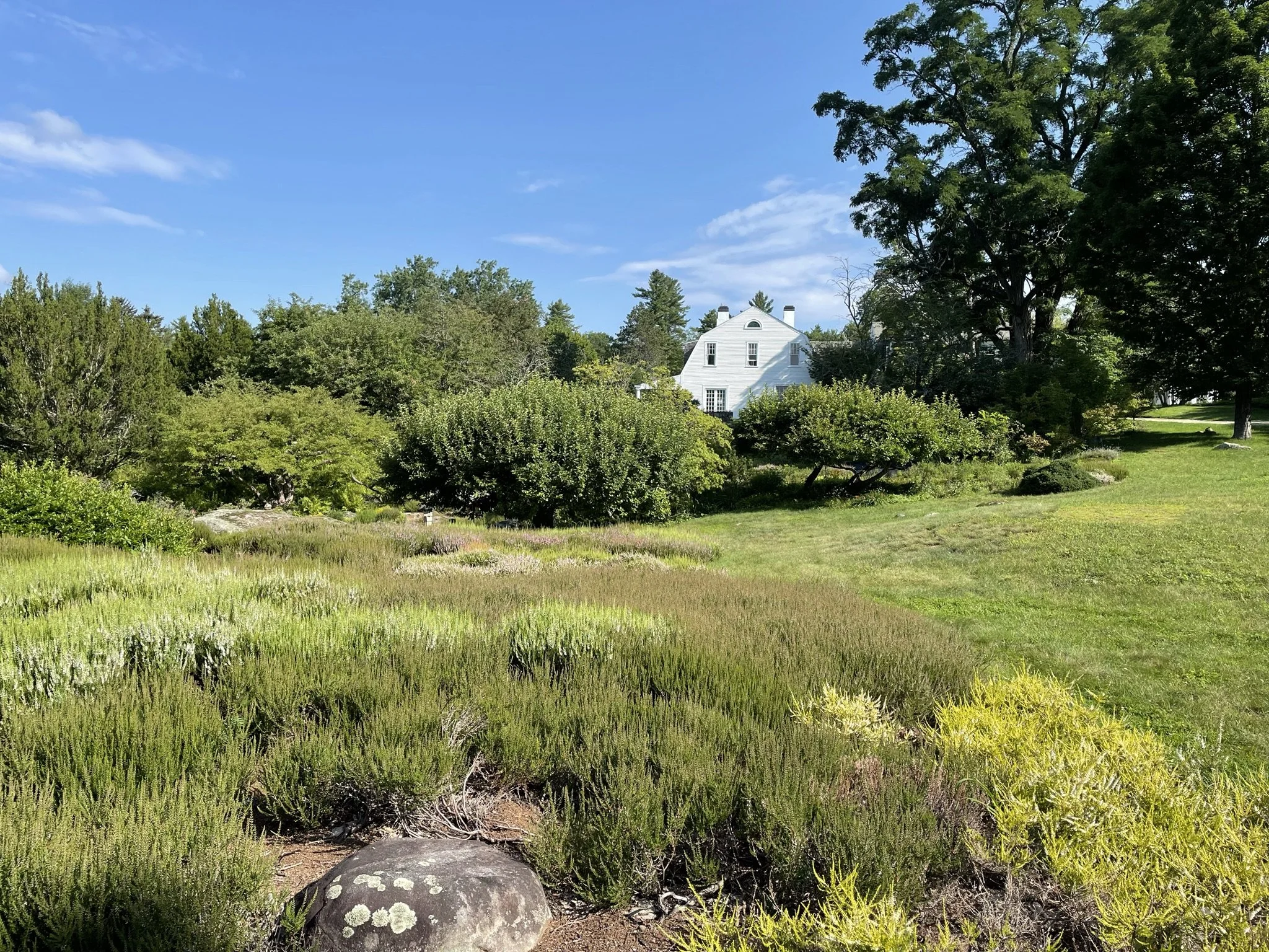 Shearing of the Heather Workshop