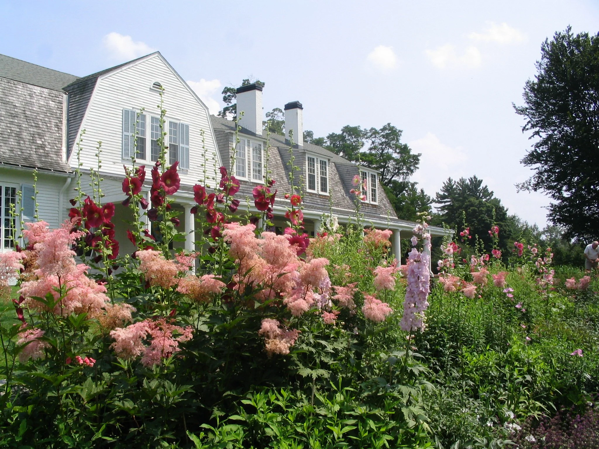 Members Opening Reception