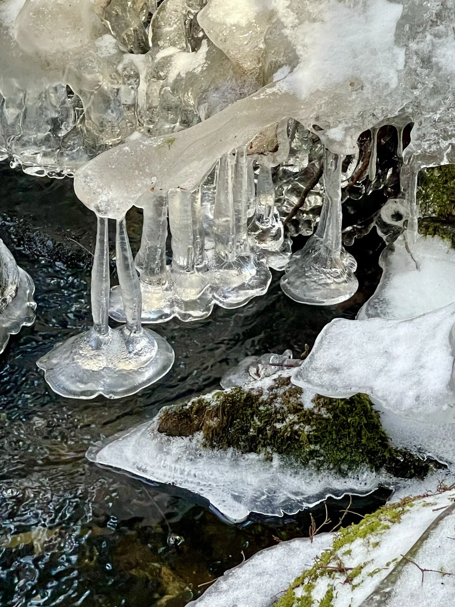 First Thursday Hike at The Fells