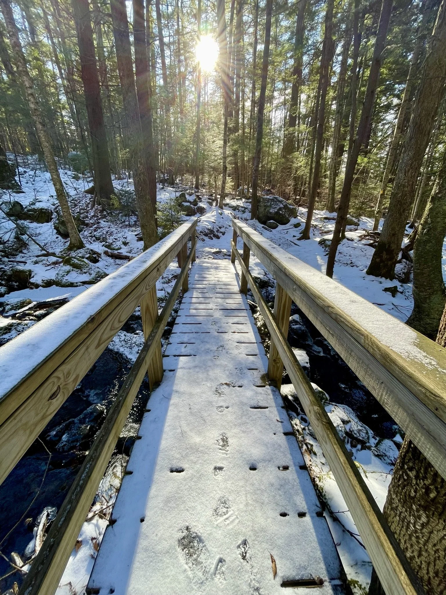 Winter Hike for Families