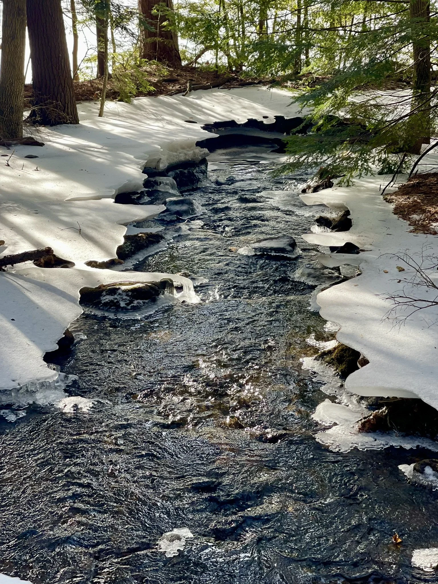 First Thursday Hike at The Fells