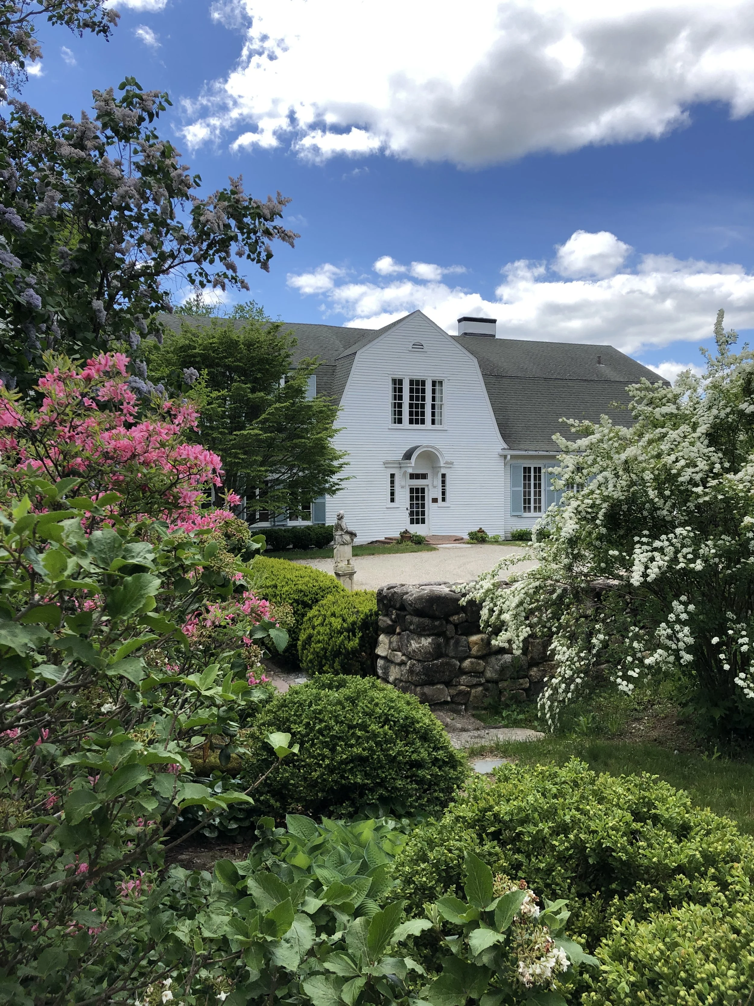 Volunteer Information Session &amp; Intro to Opportunities