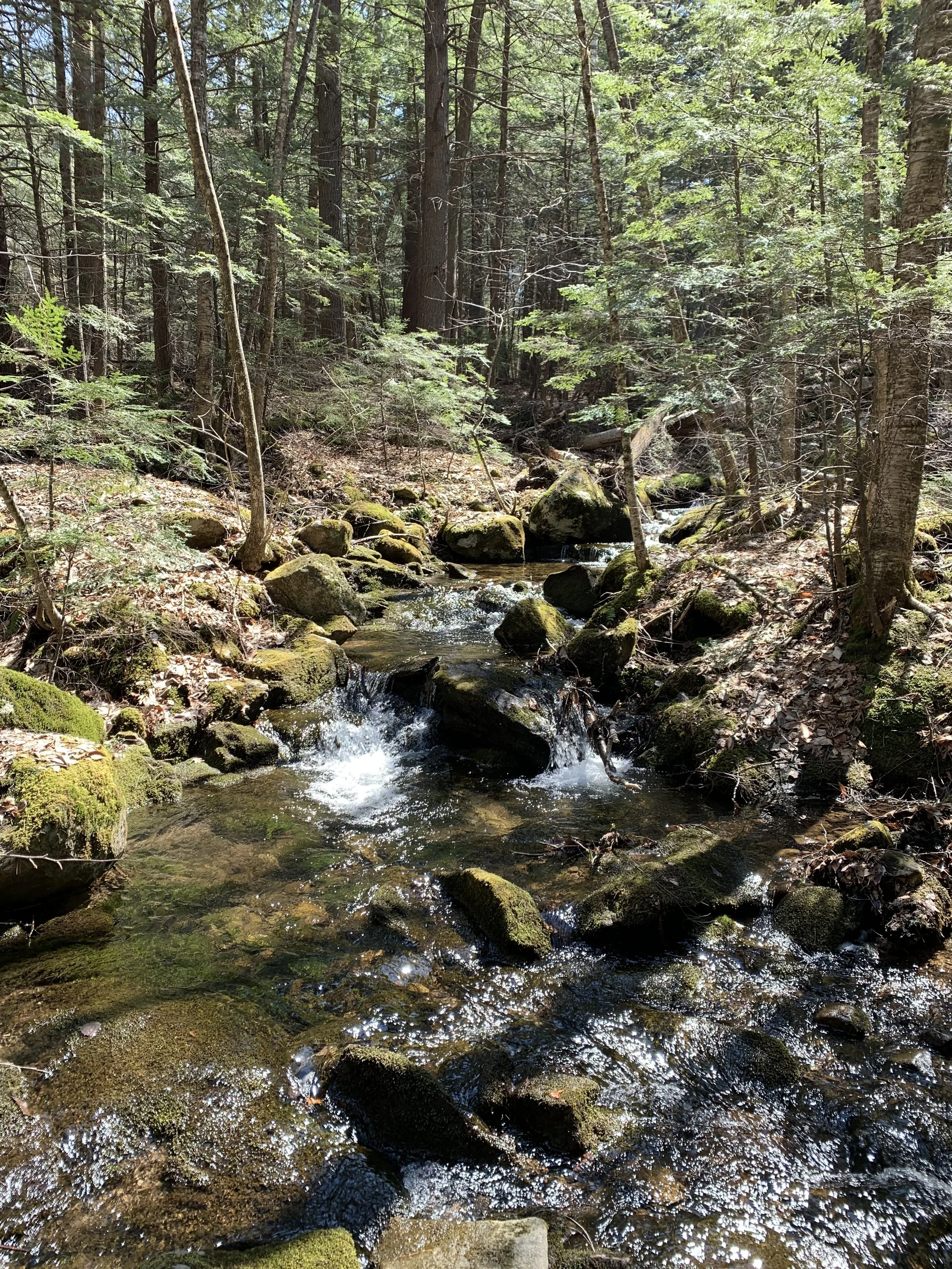 First Thursday Hike at The Fells- CANCELLED DUE TO INCLEMENT WEATHER