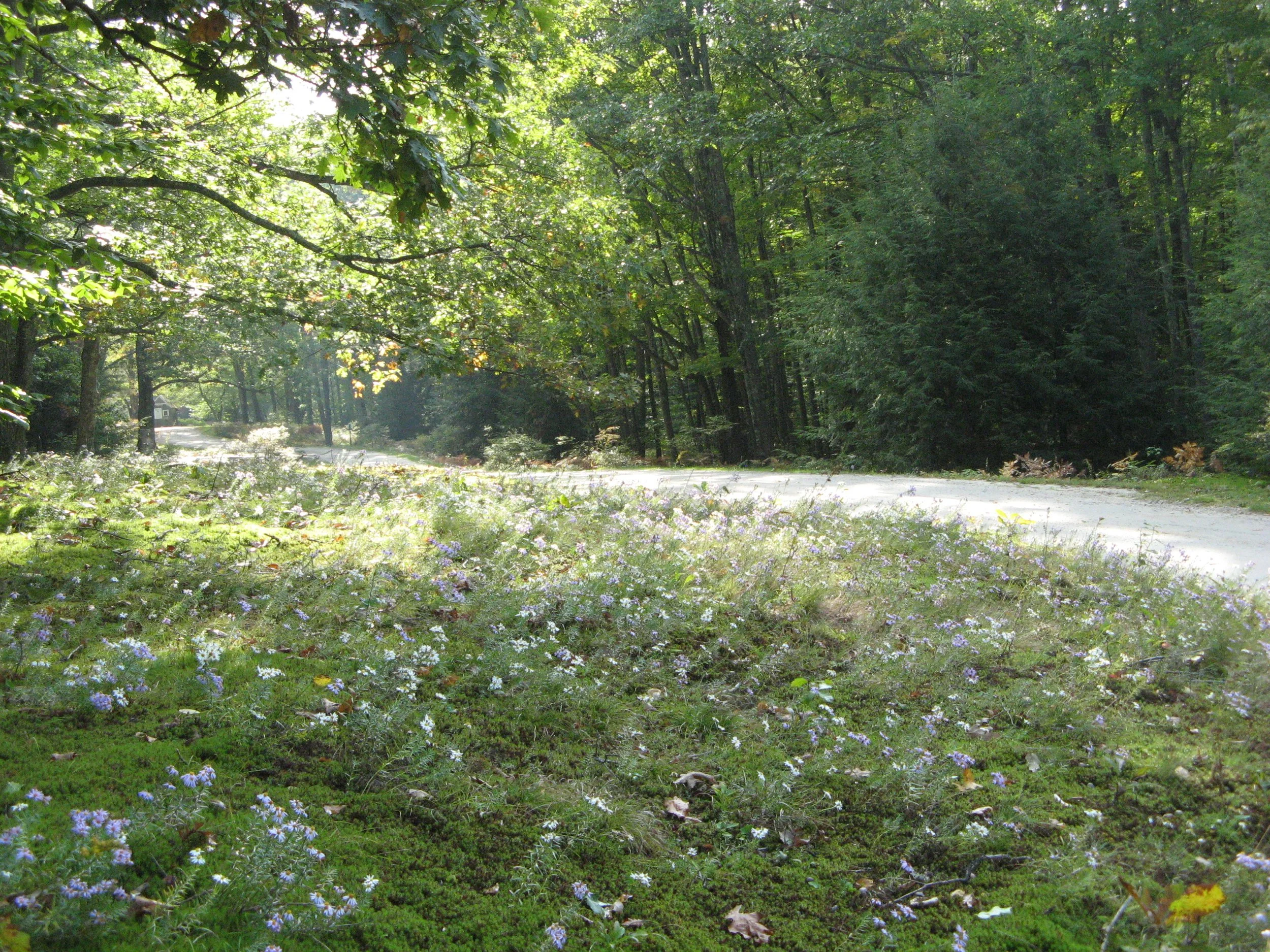 First Thursday Hike at The Fells with Dave Anderson