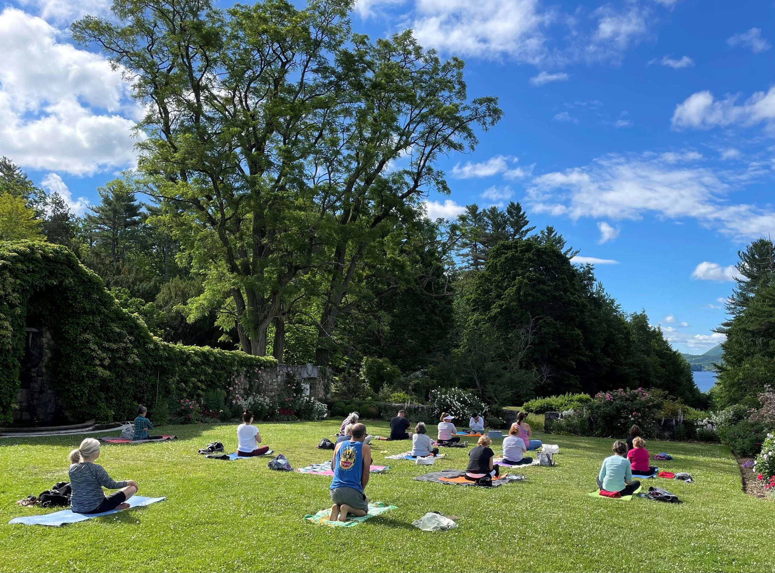 Fall Series: Mindful Flow Yoga